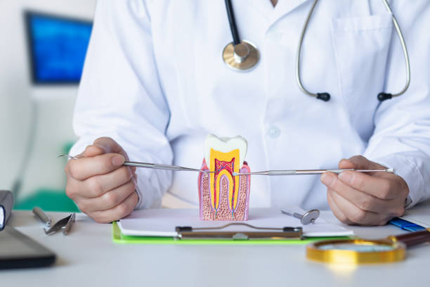 Best Urgent Tooth Repair  in Charleroi, PA